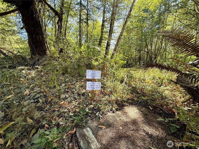 2041 E Rasor Rd, Belfair, WA 98528