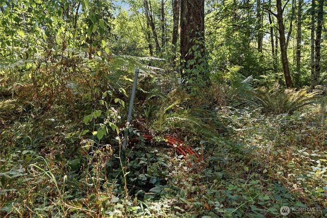 2041 E Rasor Rd, Belfair, WA 98528