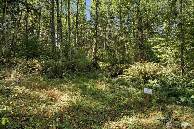 2041 E Rasor Rd, Belfair, WA 98528