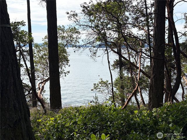 86 Shag Rock Lane, Orcas Island, WA 98245