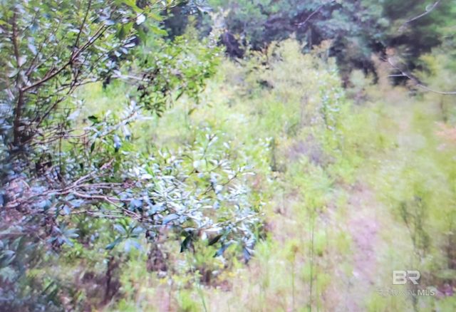 0 Juniper Road, Seminole, AL 36574