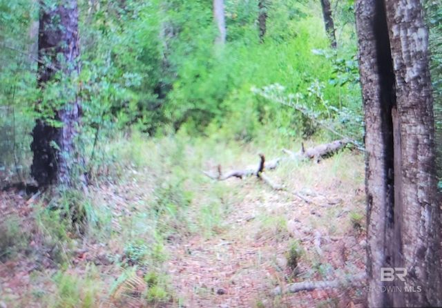 0 Juniper Road, Seminole, AL 36574