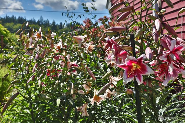 730 Gleason Ln, Langley, WA 98260