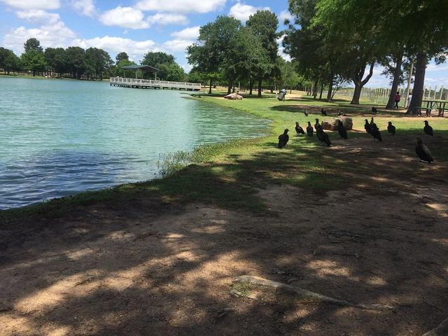2168 Hidden Hill Lane, Katy, TX 77493