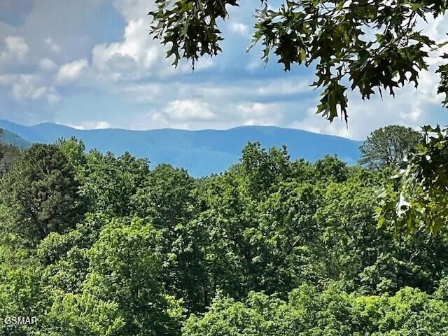 430 Sugar Maple Loop, Sevierville, TN 37862