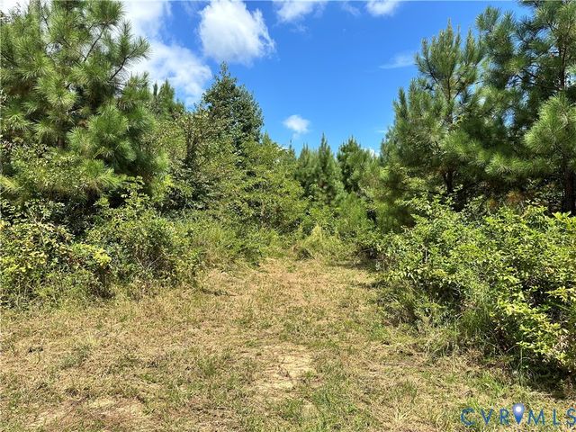 0 Loman Rd, Meherrin, VA 23954