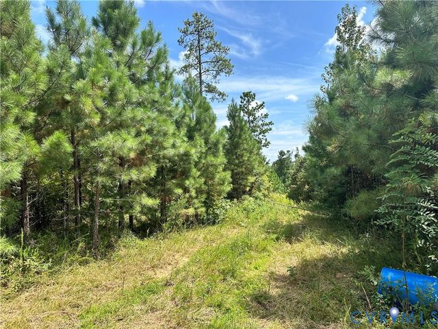 0 Loman Rd, Meherrin, VA 23954