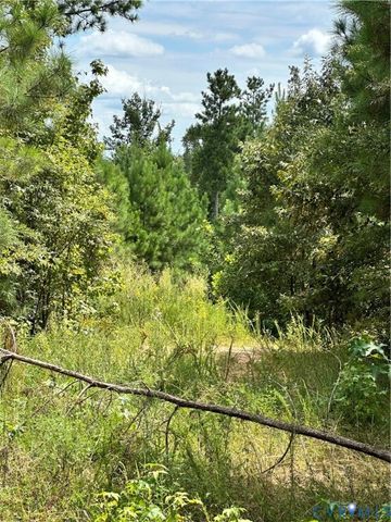 0 Loman Rd, Meherrin, VA 23954