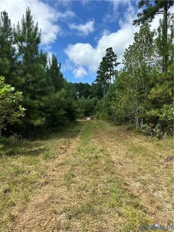 0 Loman Rd, Meherrin, VA 23954