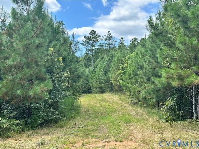 0 Loman Rd, Meherrin, VA 23954