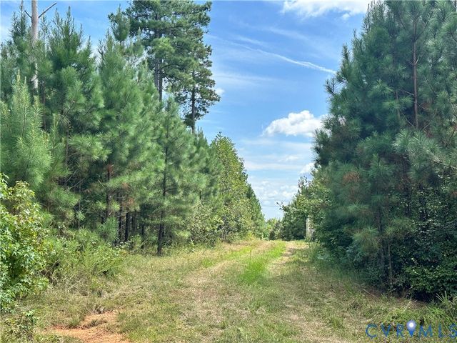 0 Loman Rd, Meherrin, VA 23954