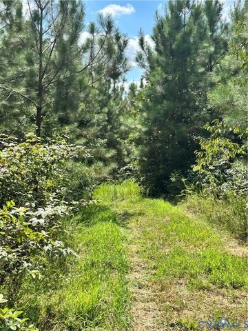 0 Loman Rd, Meherrin, VA 23954