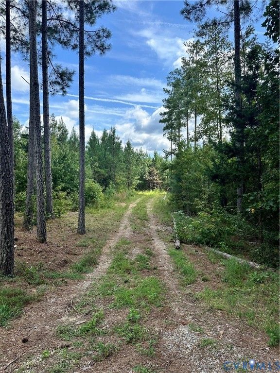 0 Loman Rd, Meherrin, VA 23954