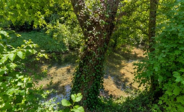 143 Salt River Road, Danville, KY 40422