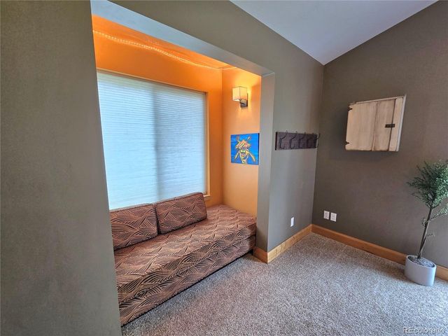 16811 County Road 306, Buena Vista, CO 81211