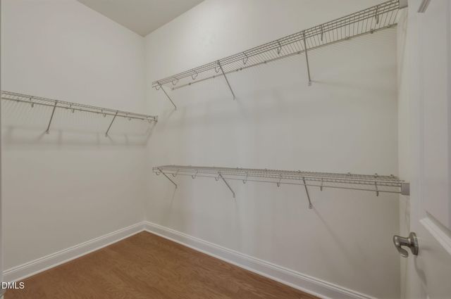 9805 Carlyle Hills Way, Raleigh, NC 27617