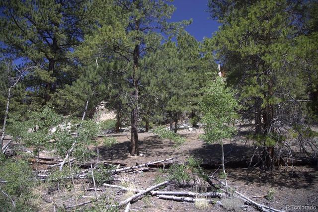 426 Parry Peak Drive, Twin Lakes, CO 81251