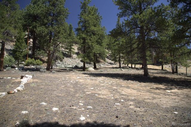 426 Parry Peak Drive, Twin Lakes, CO 81251