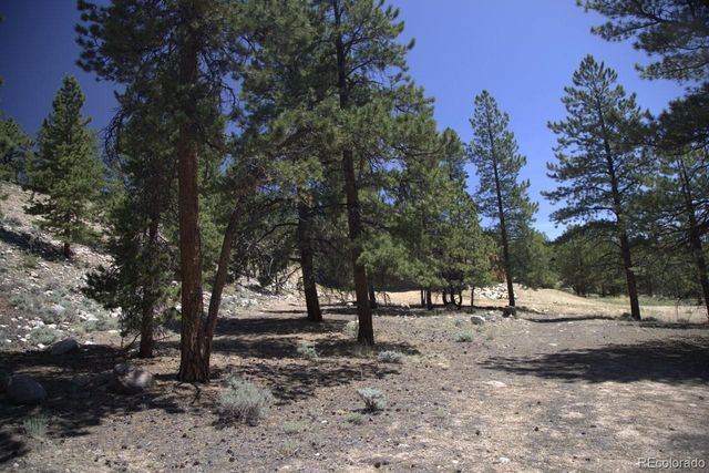 426 Parry Peak Drive, Twin Lakes, CO 81251