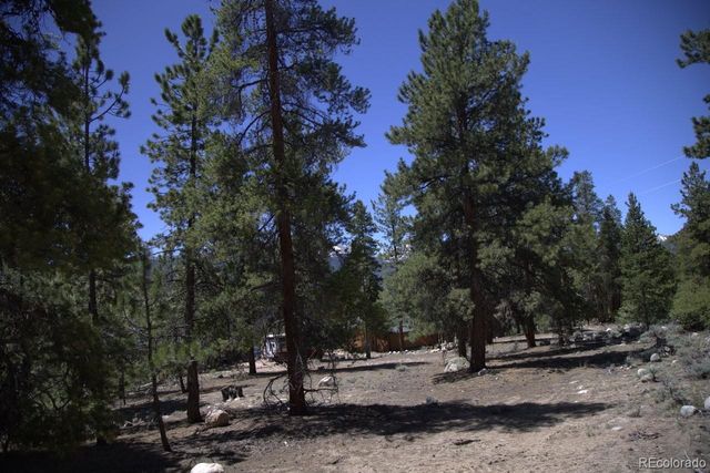 426 Parry Peak Drive, Twin Lakes, CO 81251