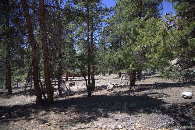 426 Parry Peak Drive, Twin Lakes, CO 81251