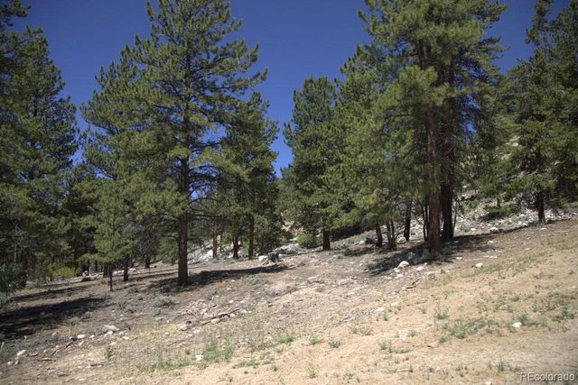 426 Parry Peak Drive, Twin Lakes, CO 81251