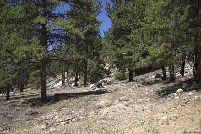 426 Parry Peak Drive, Twin Lakes, CO 81251