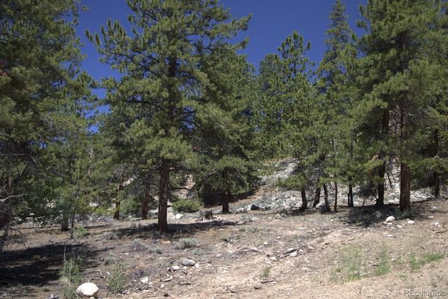 426 Parry Peak Drive, Twin Lakes, CO 81251