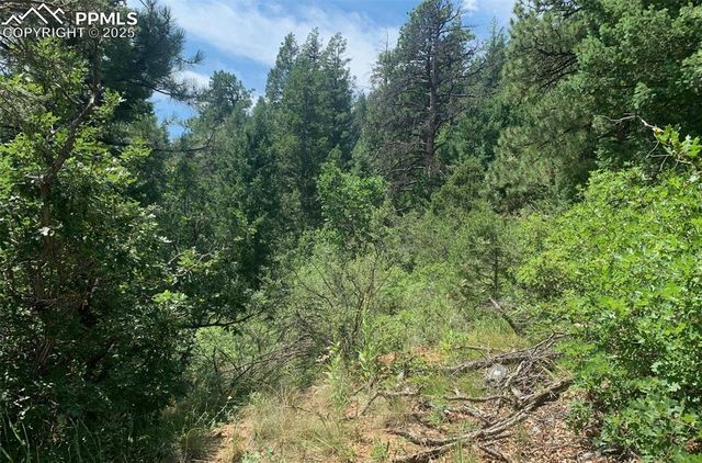 3435 Little Turkey Creek Road, Colorado Springs, CO 80926