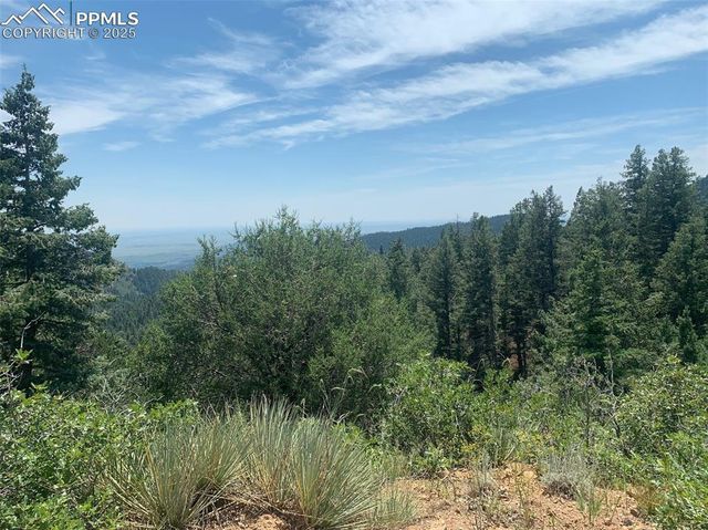 3435 Little Turkey Creek Road, Colorado Springs, CO 80926