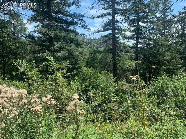 3435 Little Turkey Creek Road, Colorado Springs, CO 80926