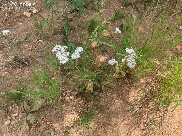 3435 Little Turkey Creek Road, Colorado Springs, CO 80926