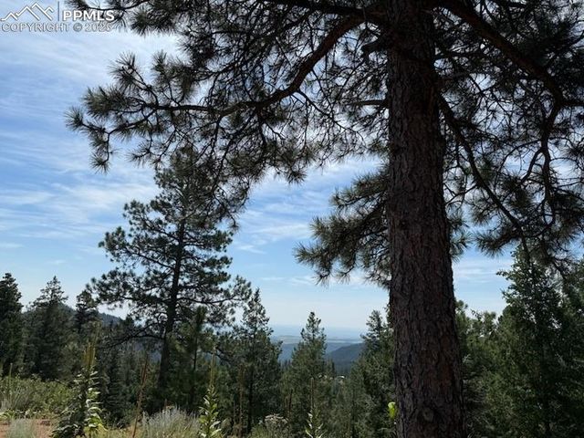 3435 Little Turkey Creek Road, Colorado Springs, CO 80926