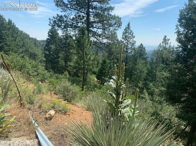 3435 Little Turkey Creek Road, Colorado Springs, CO 80926