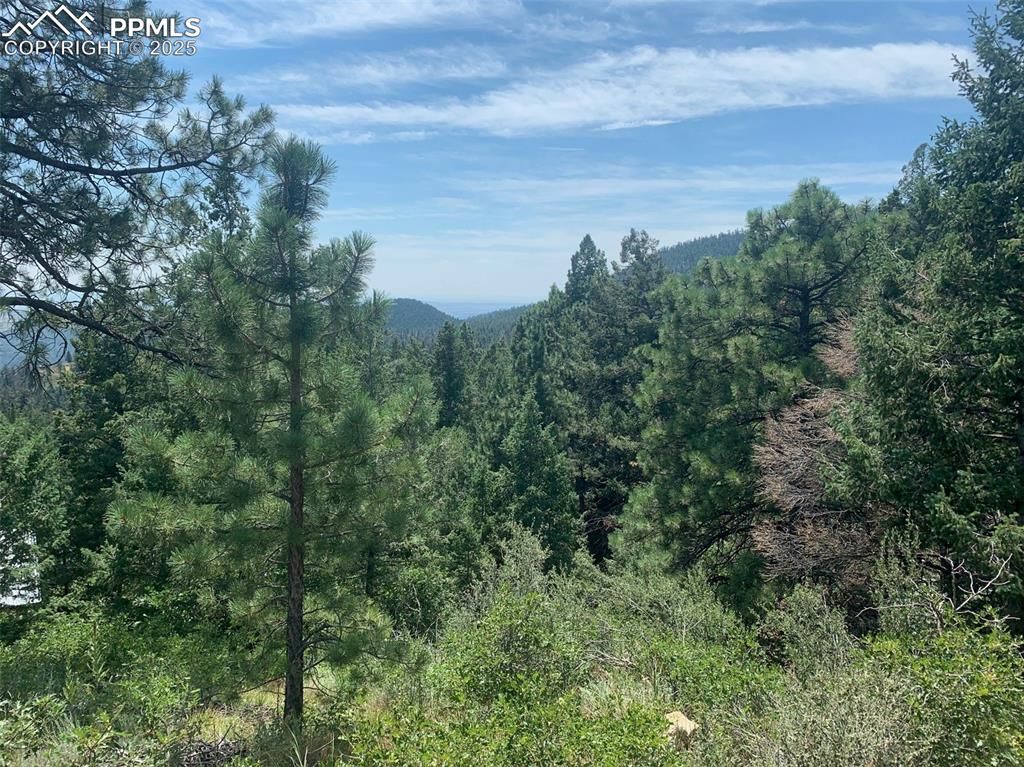 3435 Little Turkey Creek Road, Colorado Springs, CO 80926