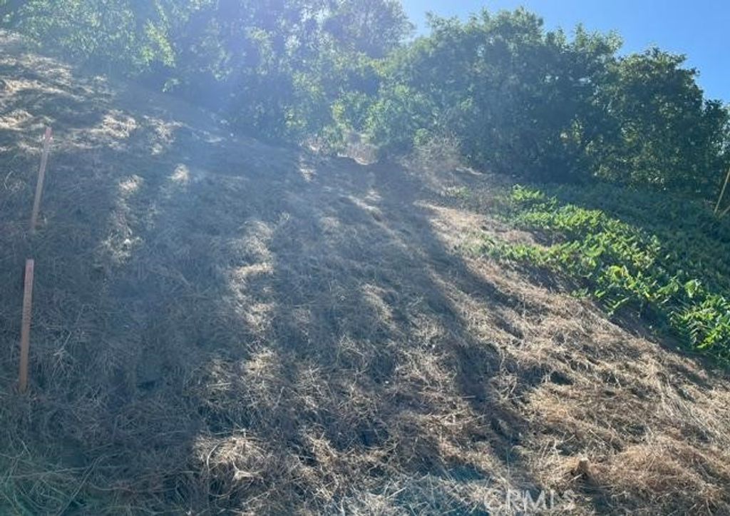 0 Palomar Drive, La Habra Heights, CA 90631 — photo 2