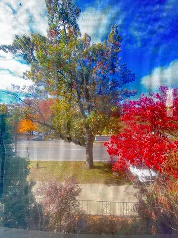 70 Jamaicaway 10, Boston, MA 02130