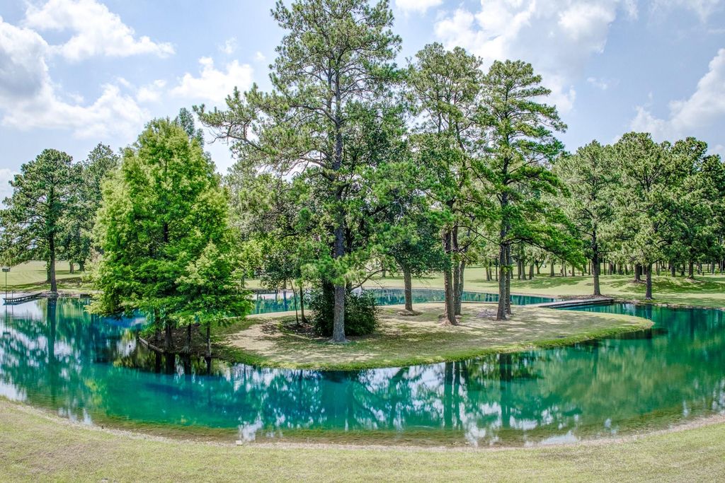 17018 Miller Wilson Road, Crosby, TX 77532