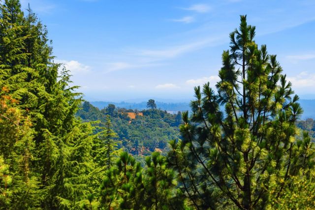 4221 Sunrise Ridge Rd, Shingle Springs, CA 95682