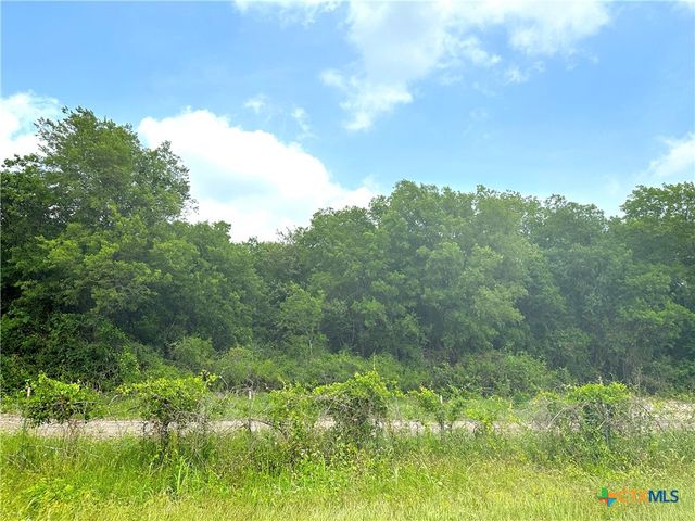 28.3 ac. TRACT 18 Winchester Drive, Moody, TX 76557