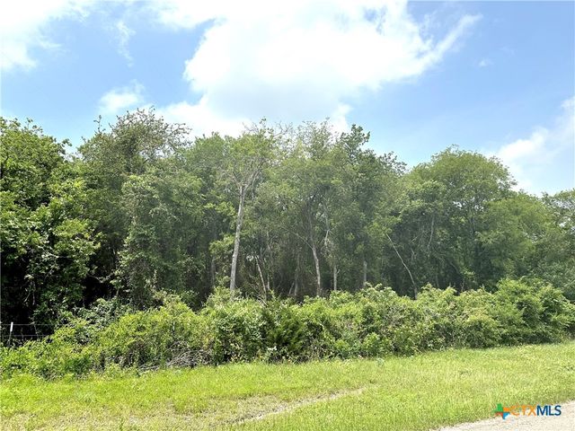 28.3 ac. TRACT 18 Winchester Drive, Moody, TX 76557