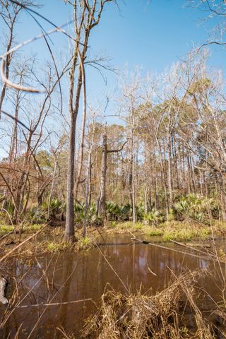 4294 River Road, Johns Island, SC 29455