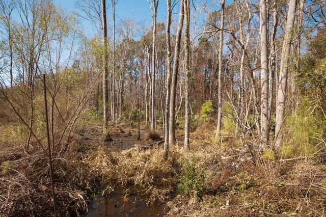 4294 River Road, Johns Island, SC 29455