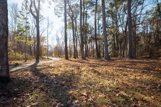 4294 River Road, Johns Island, SC 29455