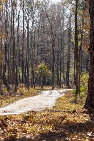 4294 River Road, Johns Island, SC 29455