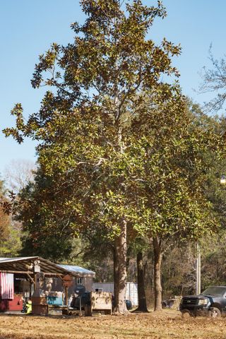 4294 River Road, Johns Island, SC 29455