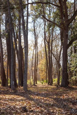 4294 River Road, Johns Island, SC 29455