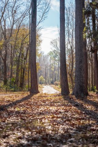 4294 River Road, Johns Island, SC 29455