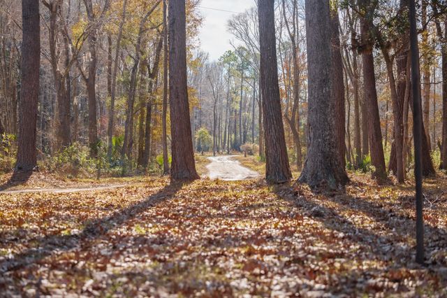 4294 River Road, Johns Island, SC 29455