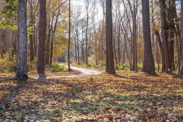 4294 River Road, Johns Island, SC 29455